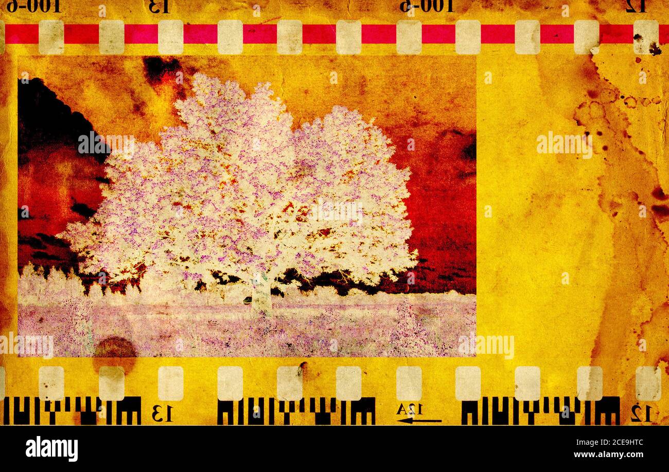 Grunge Hintergrund Stockfoto