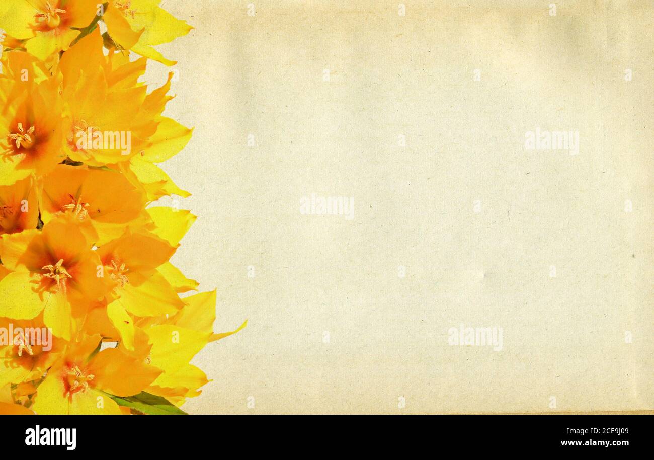 Grunge Hintergrund Stockfoto