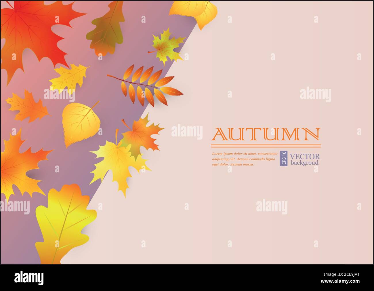 Herbst Hintergrund mit bunten Blättern. Stock Vektor
