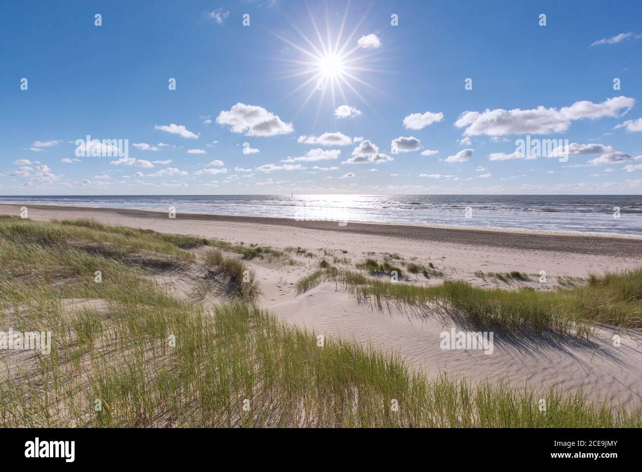 Dünen von Texel Nationalpark / Nationaal Park Duinen van Texel auf der Nord-Holland-Insel Texel in den Niederlanden Stockfoto