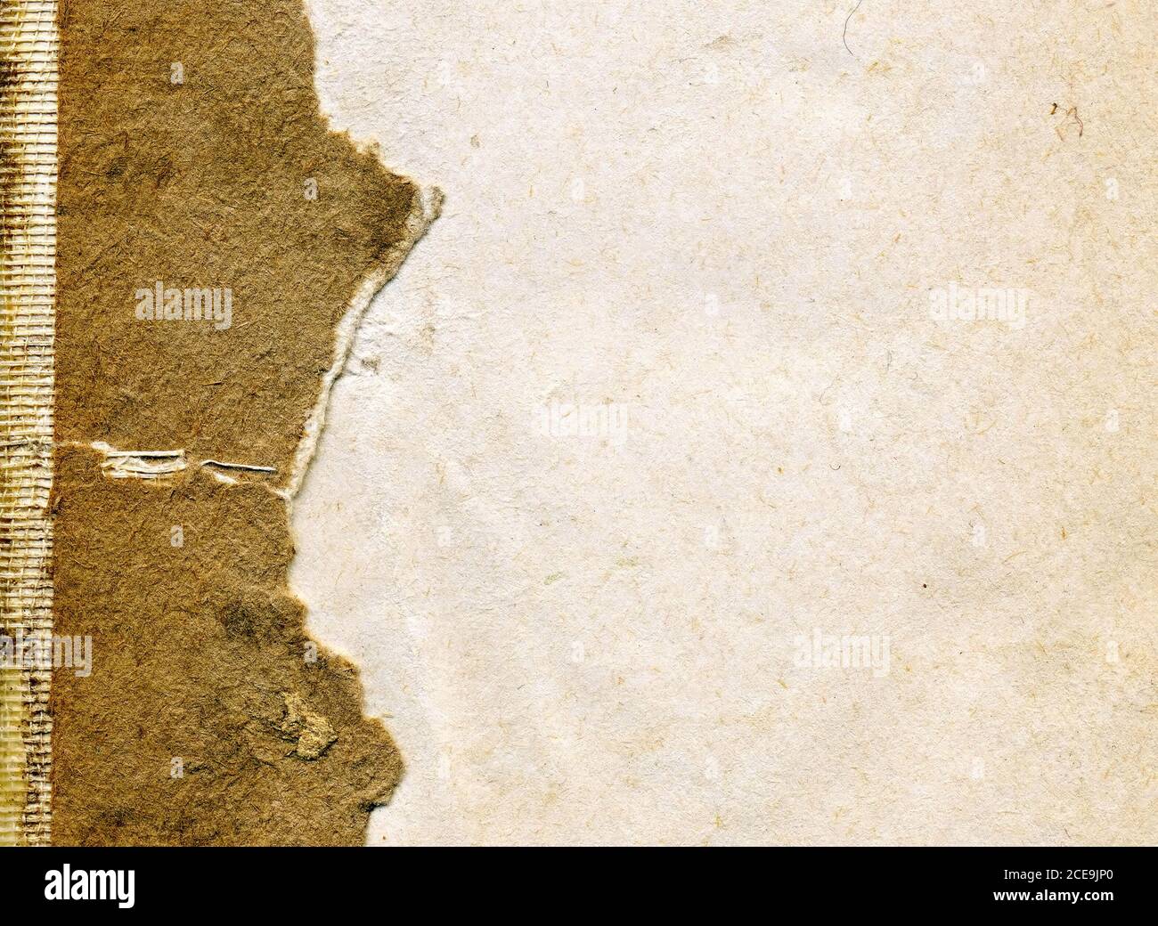 ZERRISSENE SEITE AUS ALTEN BUCH Stockfoto