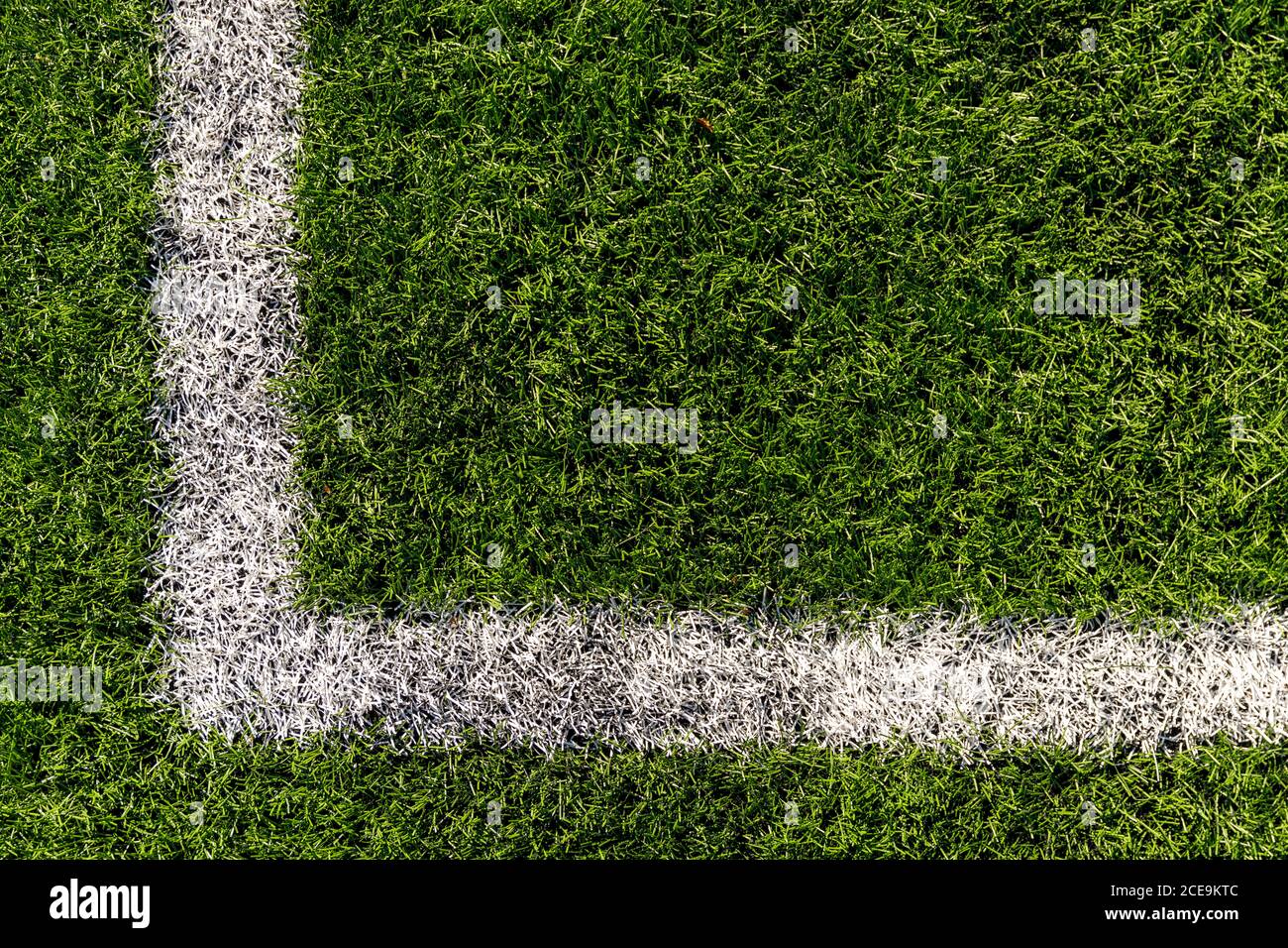 Helles grünes Gras. Hintergrund für Design Stockfoto