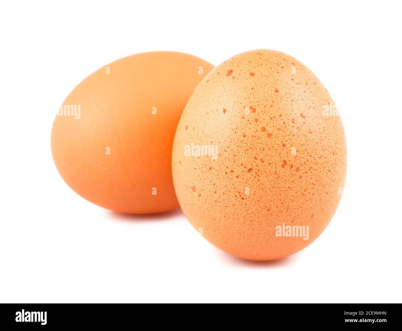 Zwei braunen Eiern Stockfoto