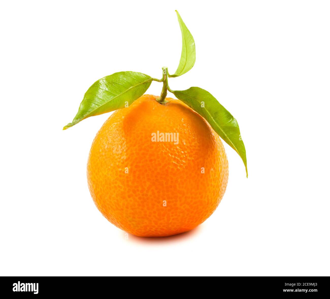 Reife Mandarine Stockfoto