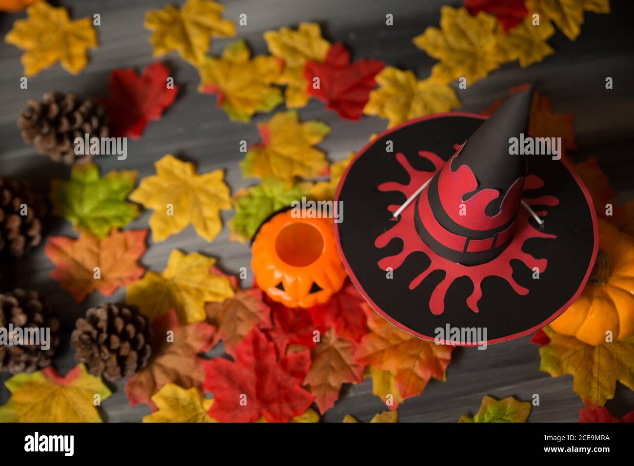 Nahaufnahme eines Kürbisses, der einen Halloween Hexenhut mit Ahornblättern auf dunklem Hintergrund trägt. Stockfoto