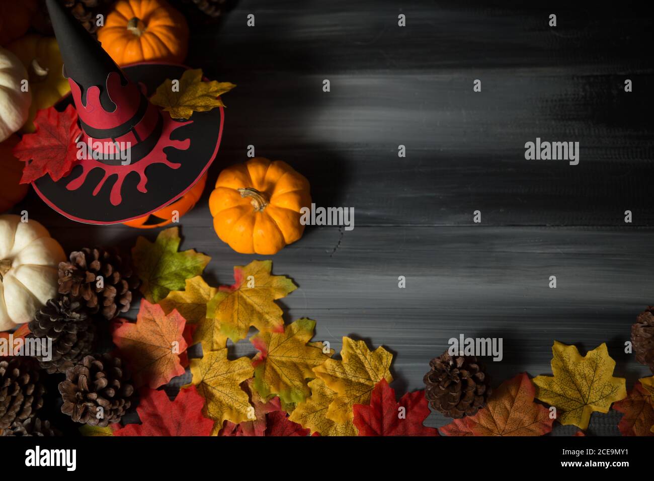 Ein Kürbis trägt einen Halloween Hexenhut mit Ahornblättern auf dunklem Hintergrund. Stockfoto