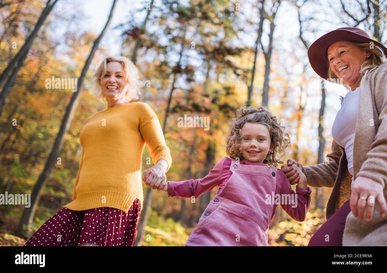 Kleines Mädchen mit Mutter und Großmutter auf einem Spaziergang im Herbstwald. Stockfoto