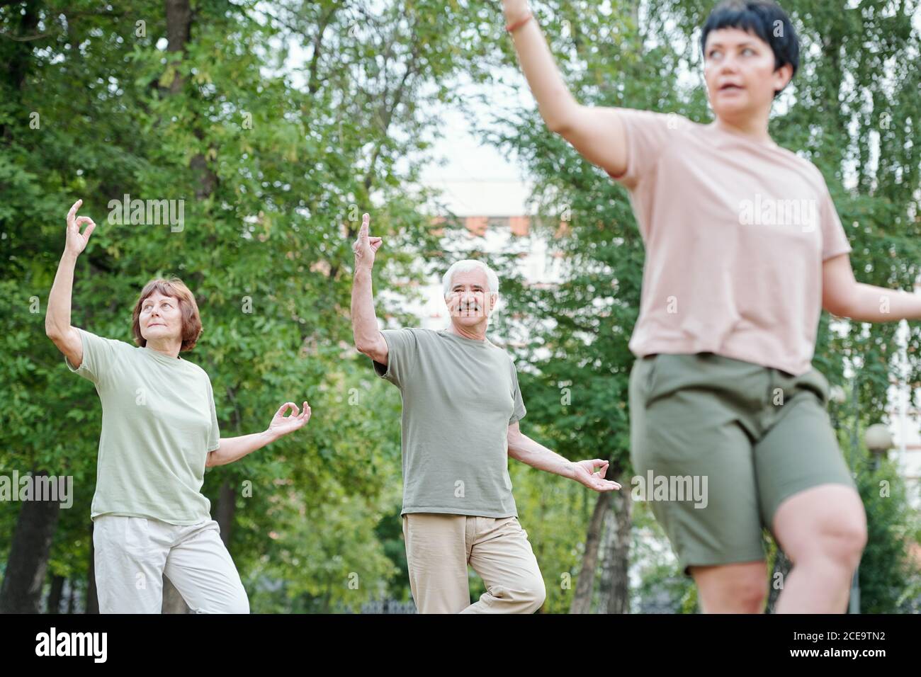 Inhalt Seniorenpaar führt langsam fließende Bewegungen in der Gruppe Qigong-Klasse durch Im Freien Stockfoto
