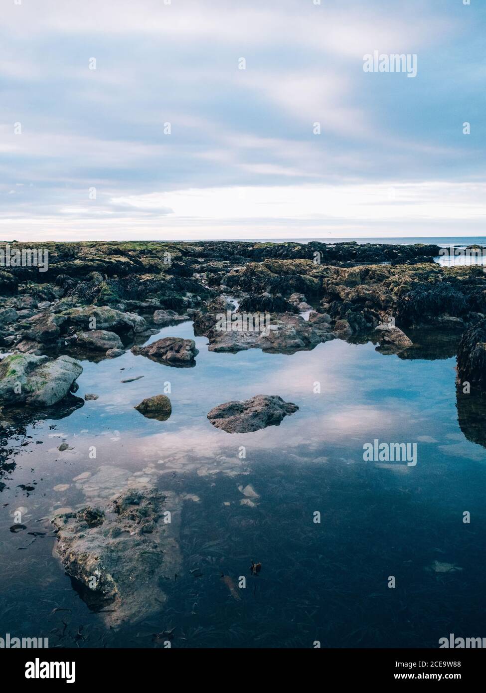 Die Steine im ruhigen Wasser spiegeln den Himmel. Vertikale Außenaufnahme. Stockfoto