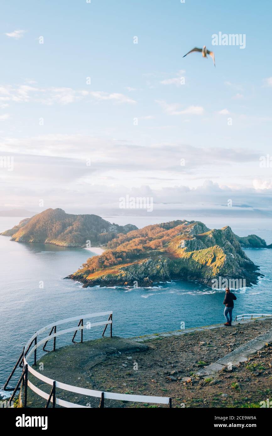 Mann, der die epische Inselszene betrachtet. Möwe fliegt hoch in der Luft. Stockfoto