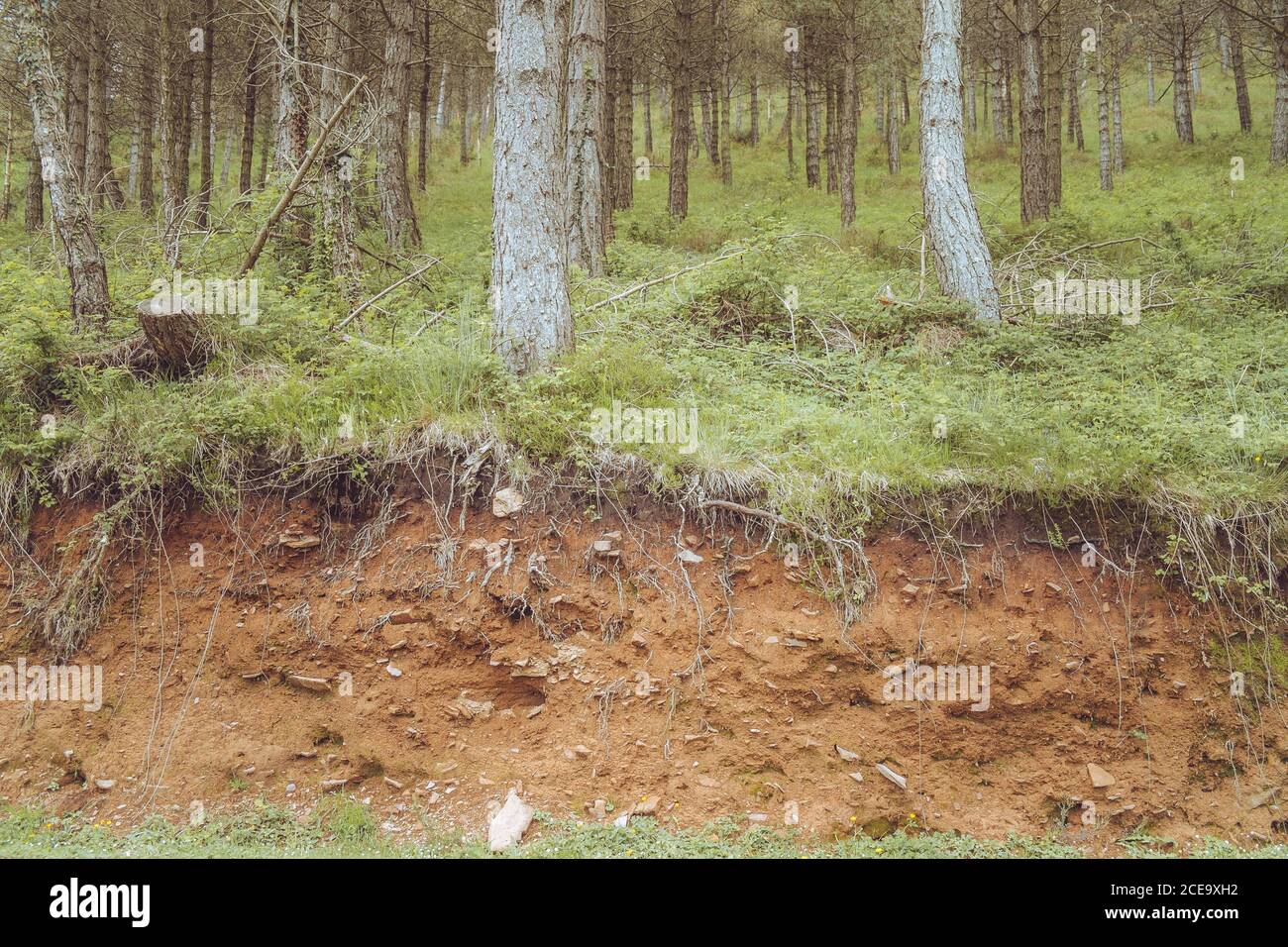 Einbalsamieren als alsa -Fotos und -Bildmaterial in hoher Auflösung – Alamy