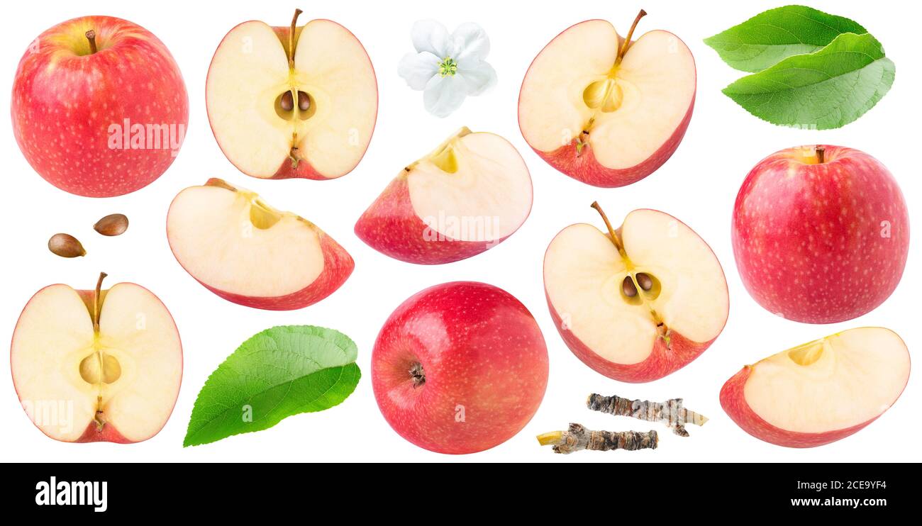 Isolierte rote Äpfel. Sammlung von ganzen und geschnittenen roten Äpfeln von dofferenten Formen, Blätter und Apfelblüten isoliert auf weißem Hintergrund Stockfoto