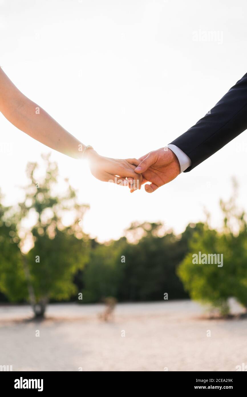 Schüttung von Mann und Frau, die bei strahlendem Sonnenschein die Hände zärtlich gegen grüne Bäume halten Stockfoto