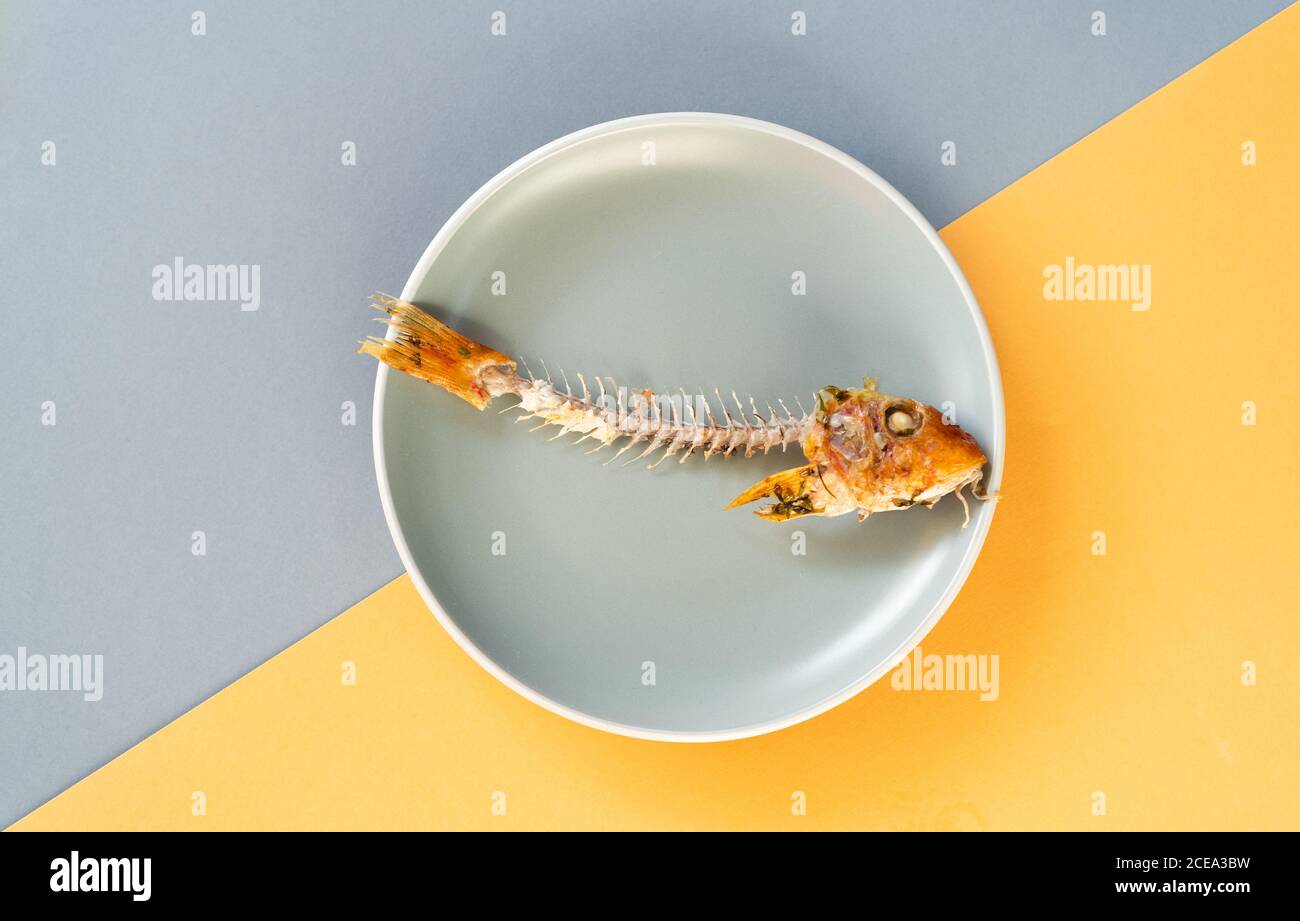 Skelett von lecker verzehrten Fisch auf Keramikplatte liegend Gelber Hintergrund Stockfoto