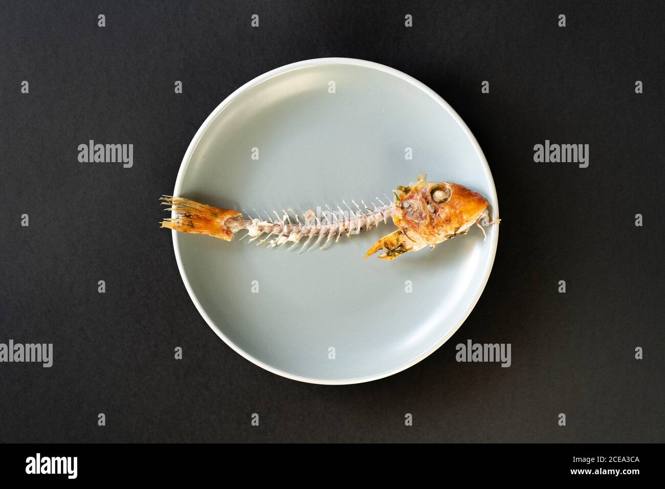 Skelett von lecker verzehrten Fisch auf Keramikplatte liegend Schwarzer Hintergrund Stockfoto