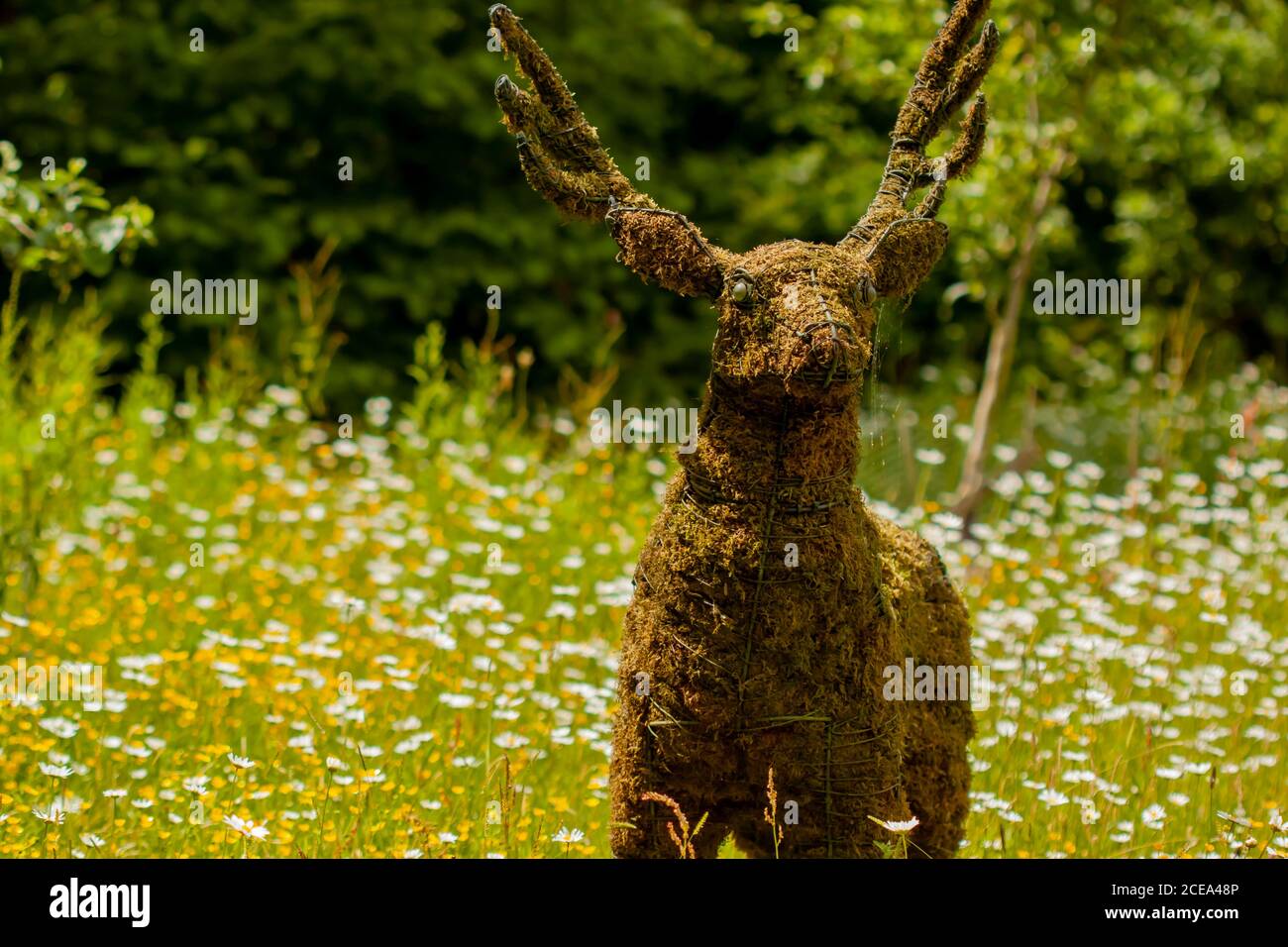 Ein Grasmodell eines Hirsches aus einem Metallrahmen und Füllung innen mit trockenem Gartengras und Stroh. Dieses realistische Modell wird unter Wildblumen als gesetzt Stockfoto