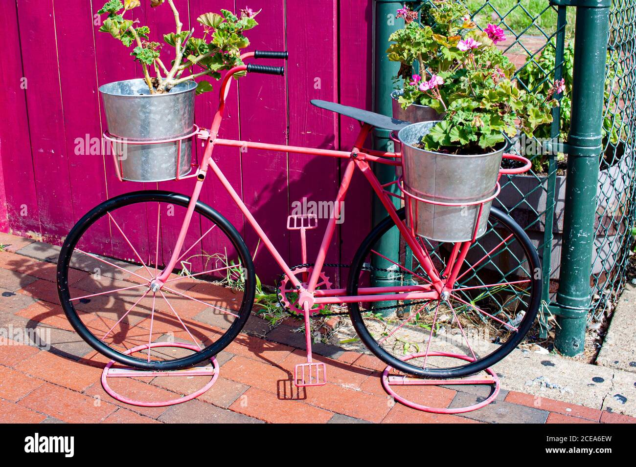 Ein Vintage Fahrrad geformter Blumentopf Halter außerhalb eines Zauns auf dem Bürgersteig in Annapolis. Dieser Retro-Stil rosa Fahrrad geformt dekorativen Artikel hält tw Stockfoto