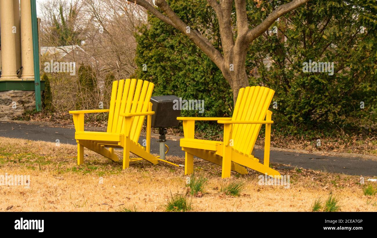 Zwei Gelbe Holzstühle mit einem kleinen Baum Zwischen ihnen Stockfoto