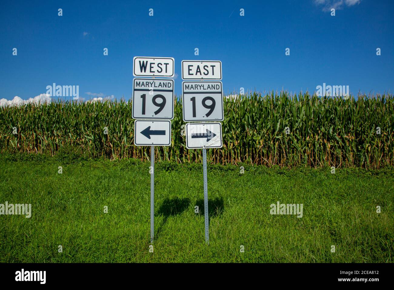 Maryland, USA, 08/18/2020: Eastern Shore of Maryland hat malerische Nebenstraßen, die durch große landwirtschaftliche Felder passieren. Bild zeigt Maryland Route 19 pas Stockfoto
