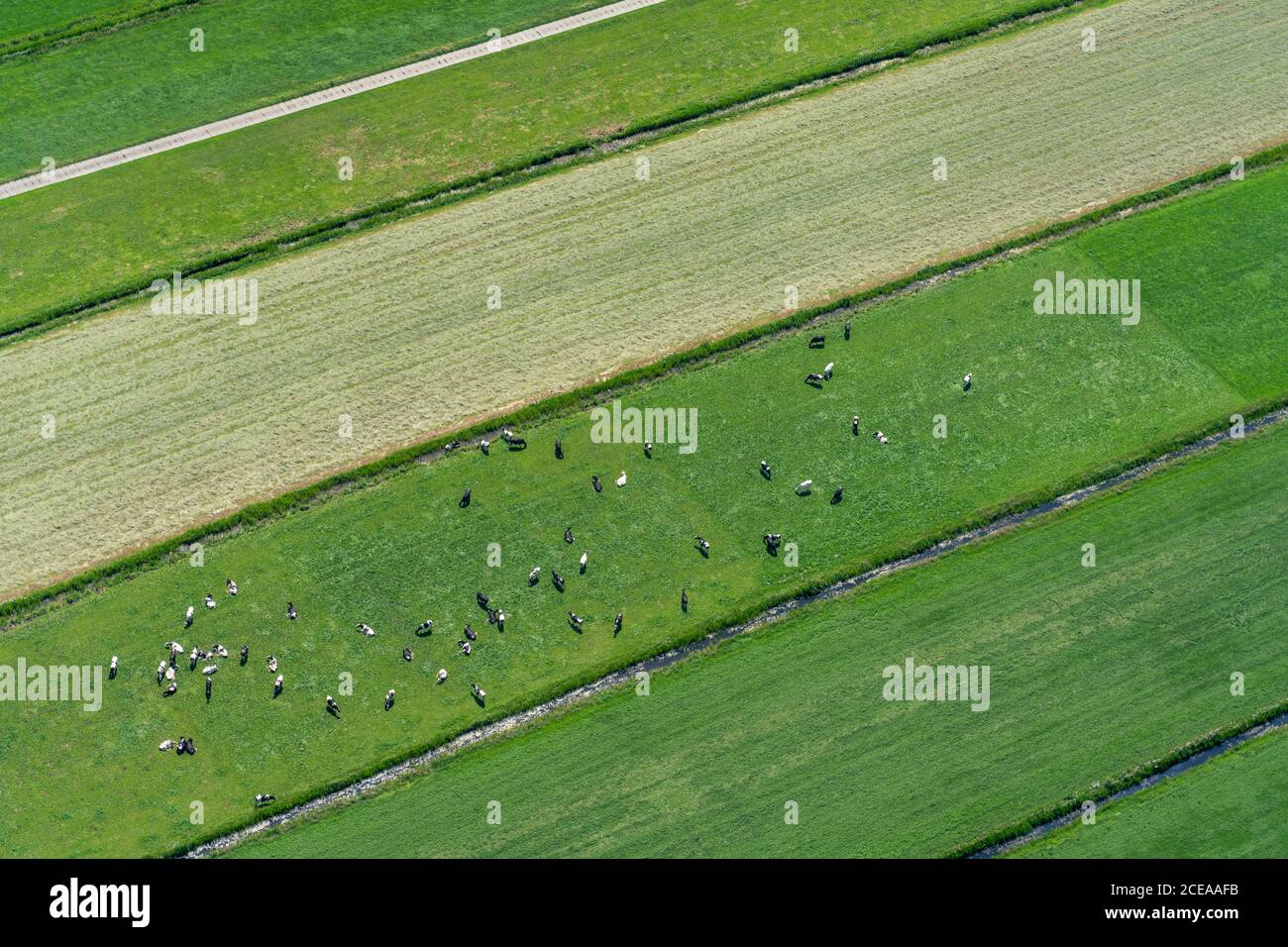 Die Niederlande von oben mit grünen Feldern, Flüssen und Häusern auf dem Wasser Stockfoto