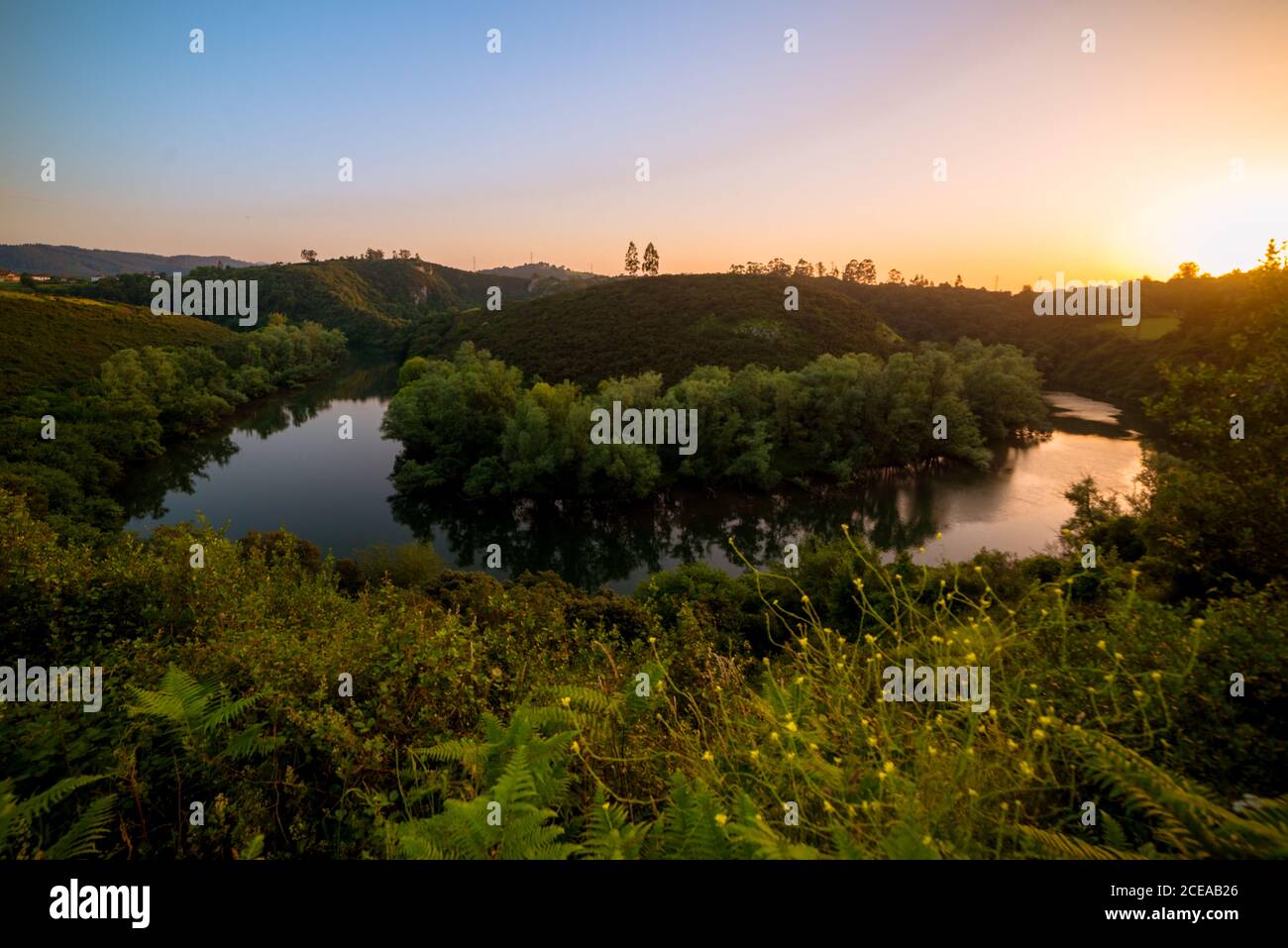 Friedlicher Fluss fließt in grüner Natur Stockfoto