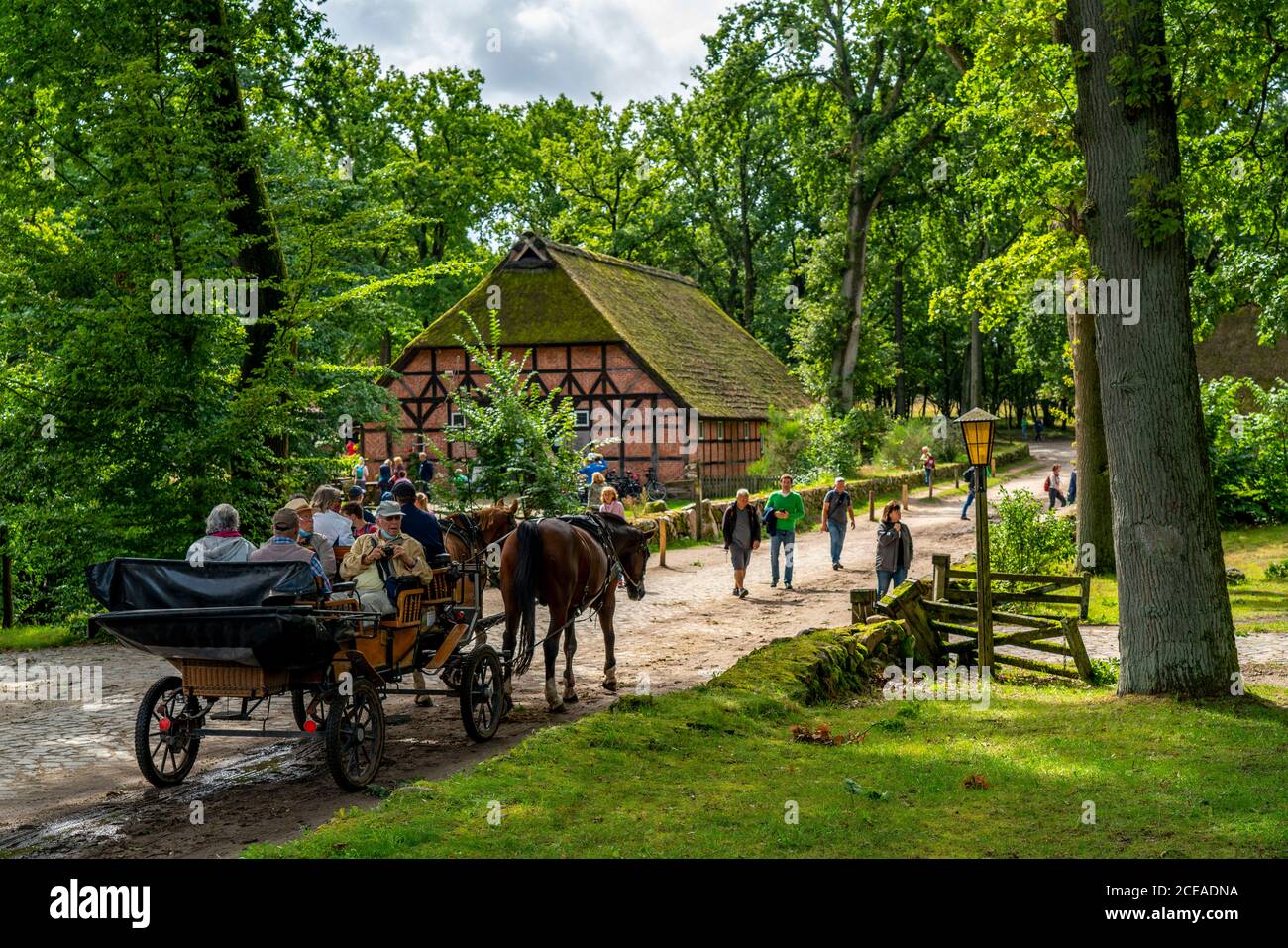 Pferdekutschen für Rundfahrten, im Dorf Wilseder, alte Bauernhöfe, im Naturschutzgebiet Lüneburger Heide, Niedersachsen, Deutschland, Stockfoto