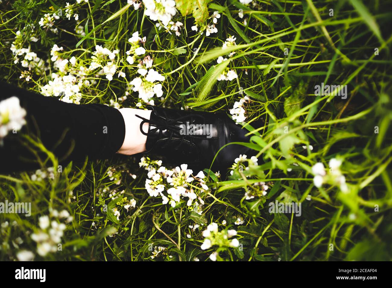 Von oben Aufnahme der Ernte Bein in stilvollen schwarzen Stiefel auf grünem Gras mit weißen Blumen. Stockfoto