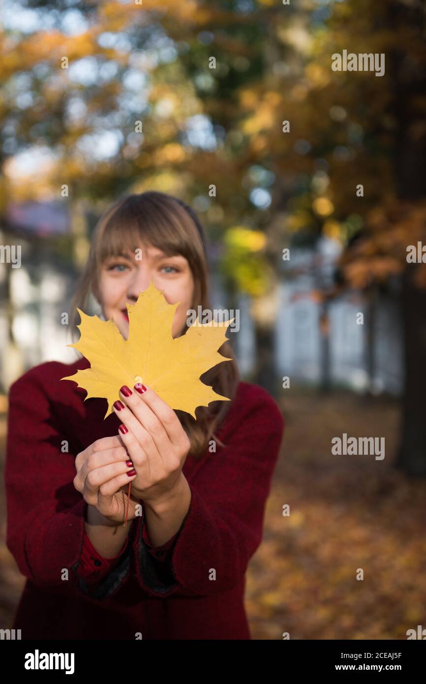 Junge fröhliche Dame im roten Mantel mit großen gelben Ahorn Blatt und Blick auf die Kamera im Park Stockfoto