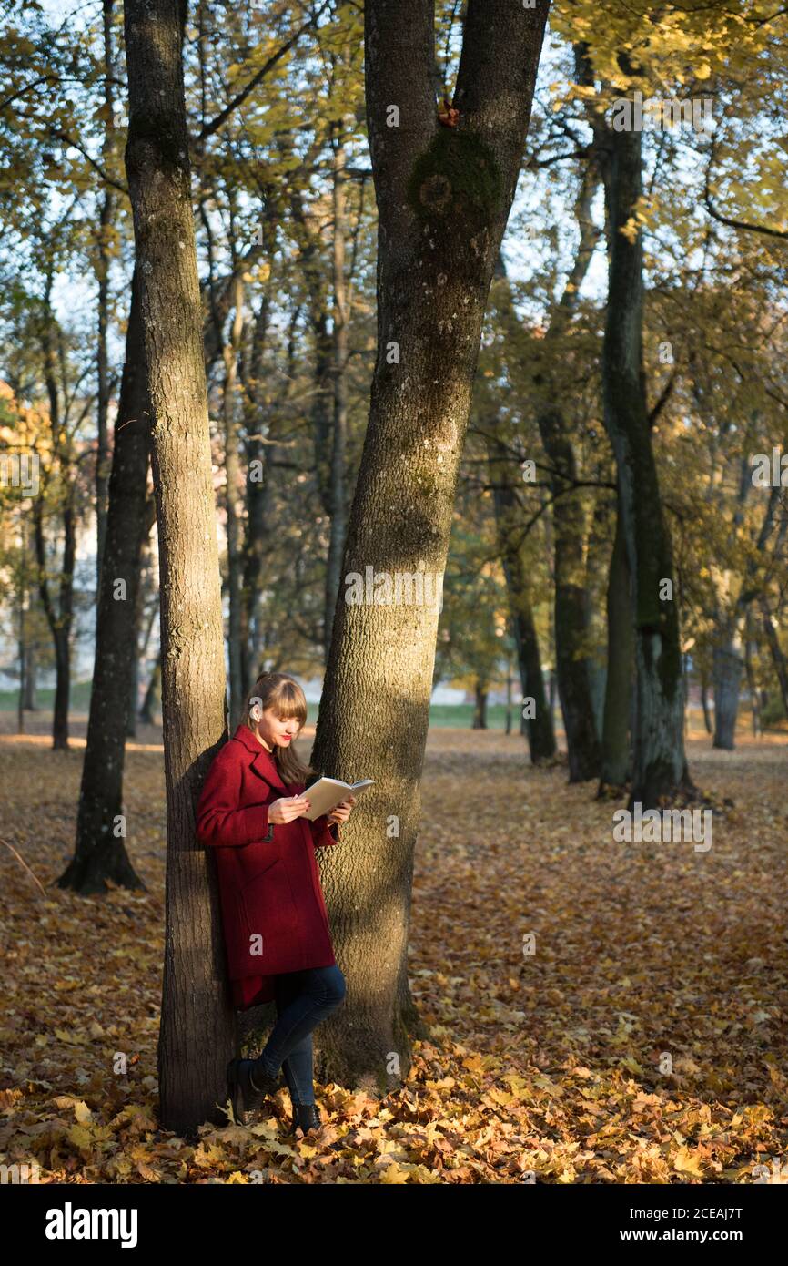Frau, die Volumen liest, lehnt sich in einen Baum Stockfoto