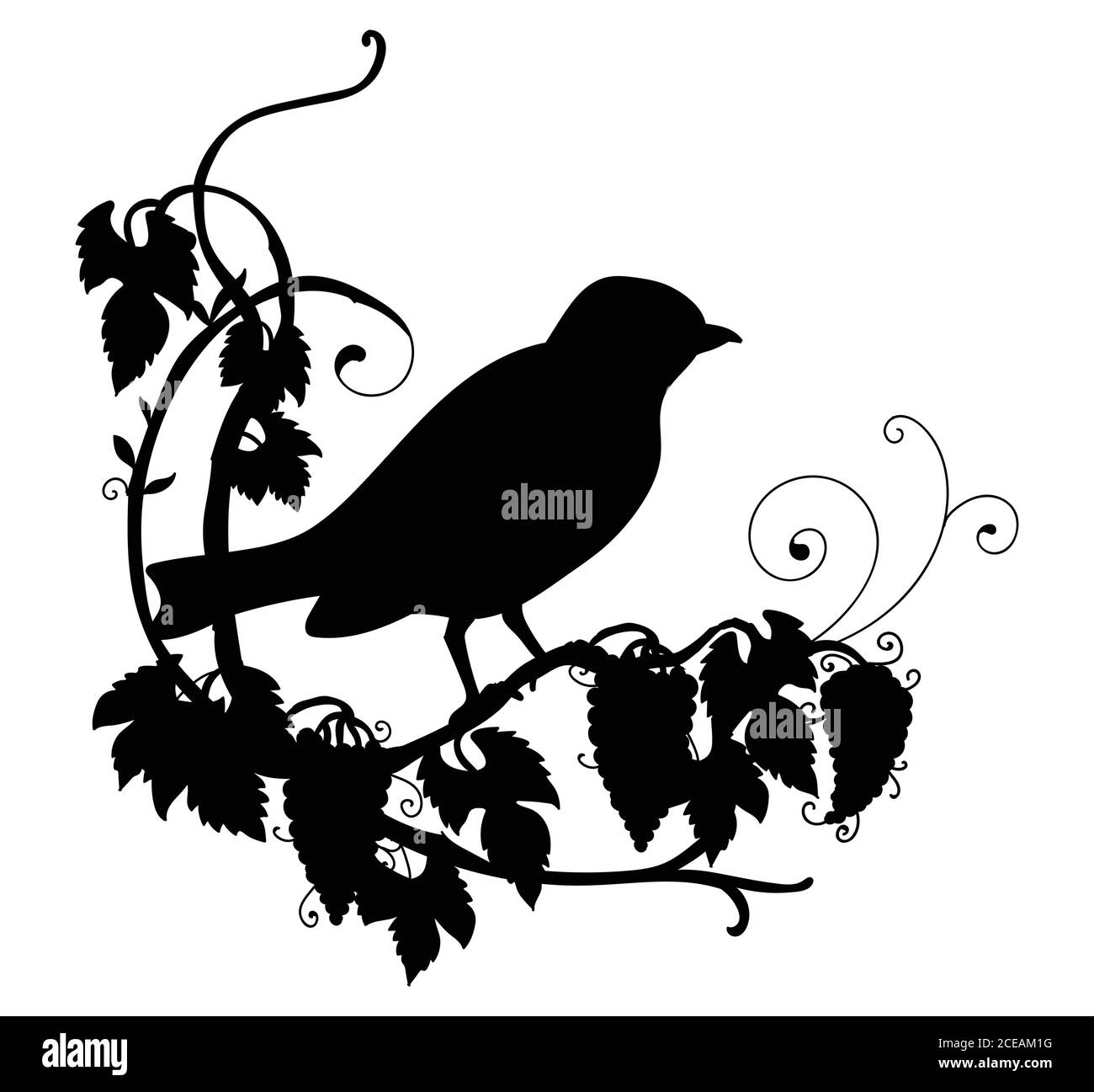 Vektor-Vorlage niedlichen Birdie und Blumen. Schwarze Silhouette Illustration isoliert auf weiß. Für Hochzeitseinladung, Design, Druck, T-Shirt, Wohnkultur, Stock Vektor