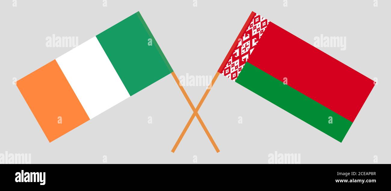Gekreuzte Flaggen von Weißrussland und Irland. Offizielle Farben. Korrektes Verhältnis. Vektorgrafik Stock Vektor