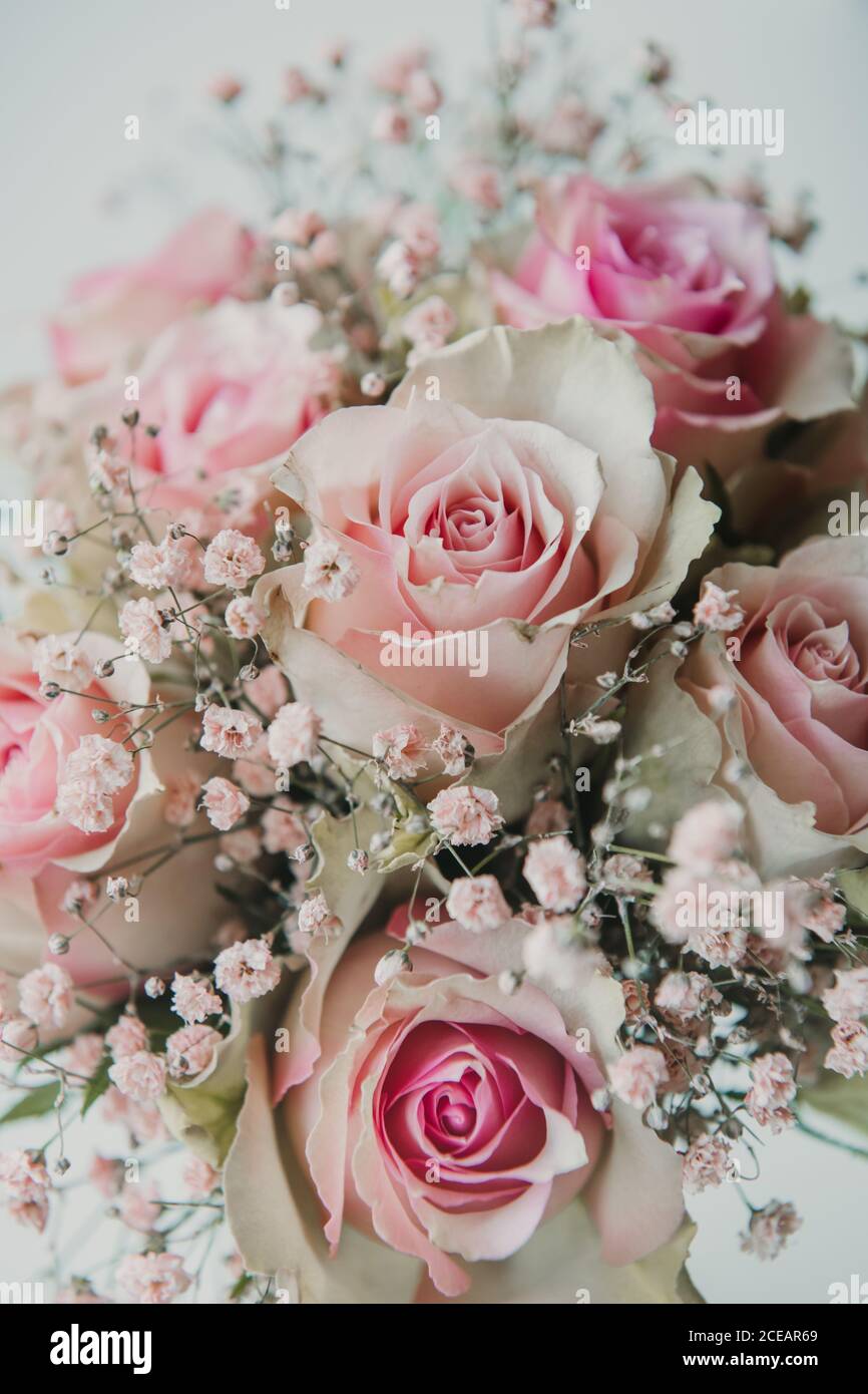 Nahaufnahme Von Oben Blick Auf Bundel Von Schonen Hellrosa Rosen Stockfotografie Alamy