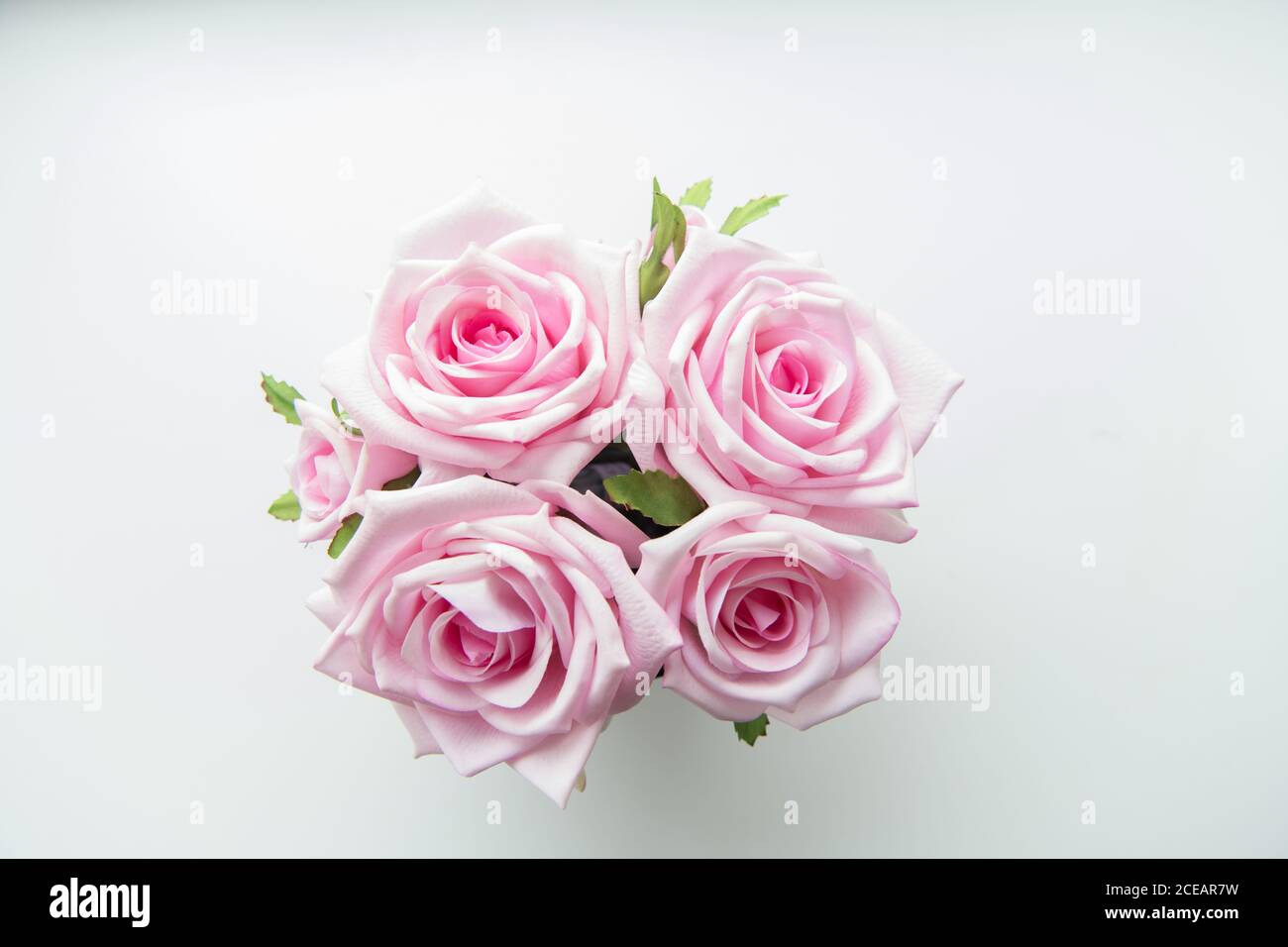 Von oben Blick auf Bündel von schönen hellen rosa Rosen Stockfoto