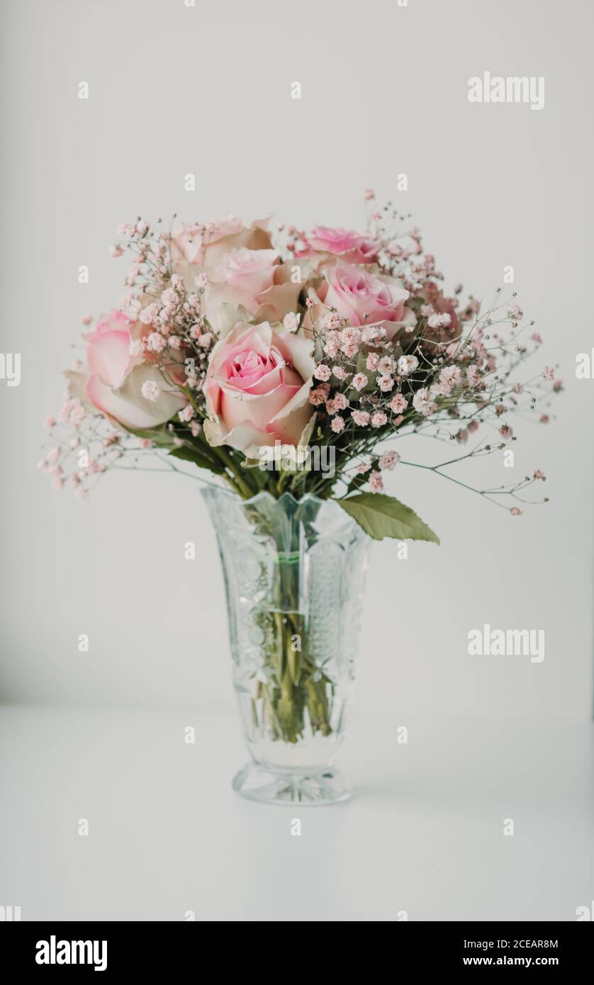 Bündel von schönen frischen rosa Rosen in Glas gelegt Vase auf weißem Hintergrund Stockfoto