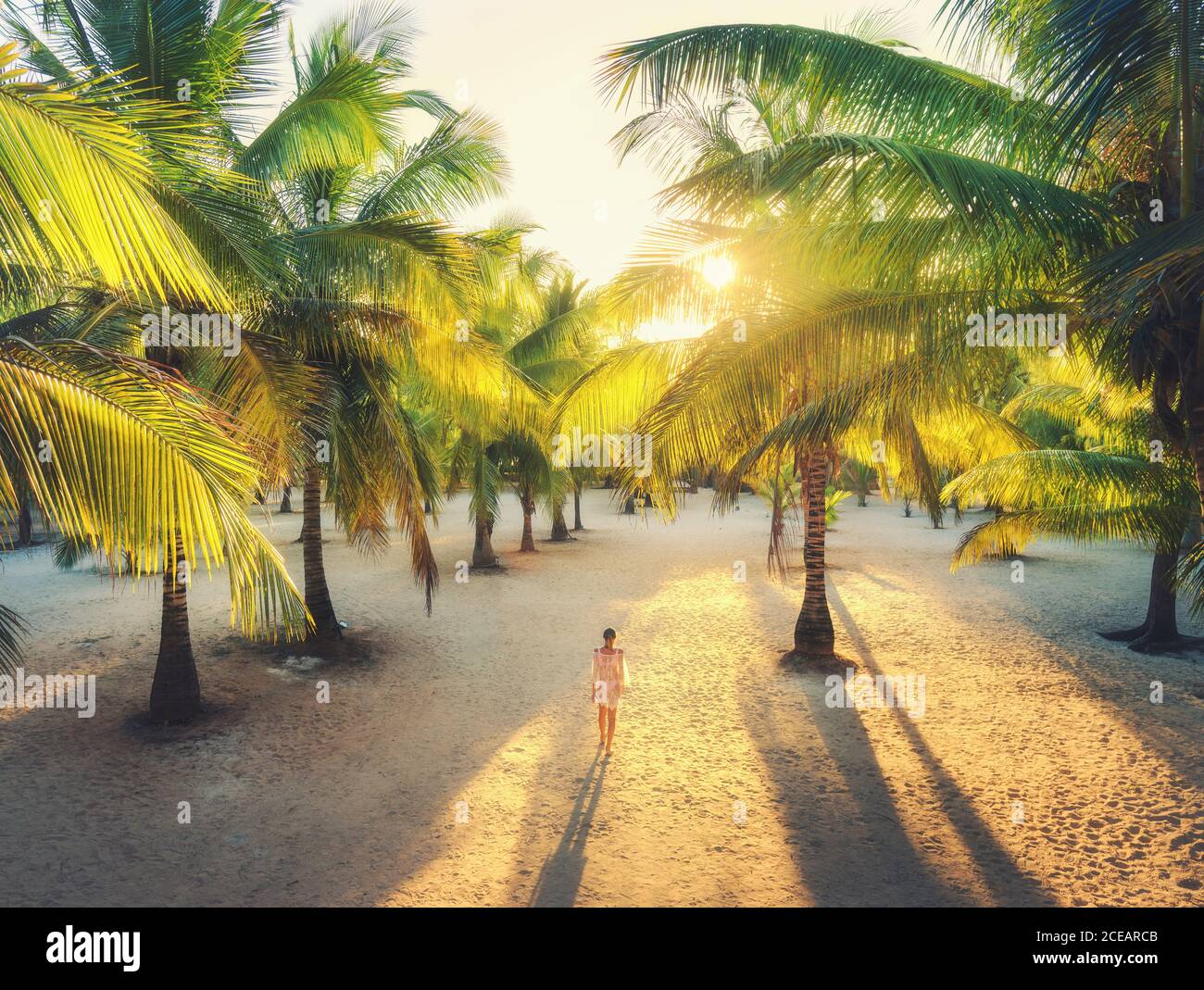 Schöne junge Frau ist in der Palmenallee bei Sonnenuntergang zu Fuß. Stockfoto