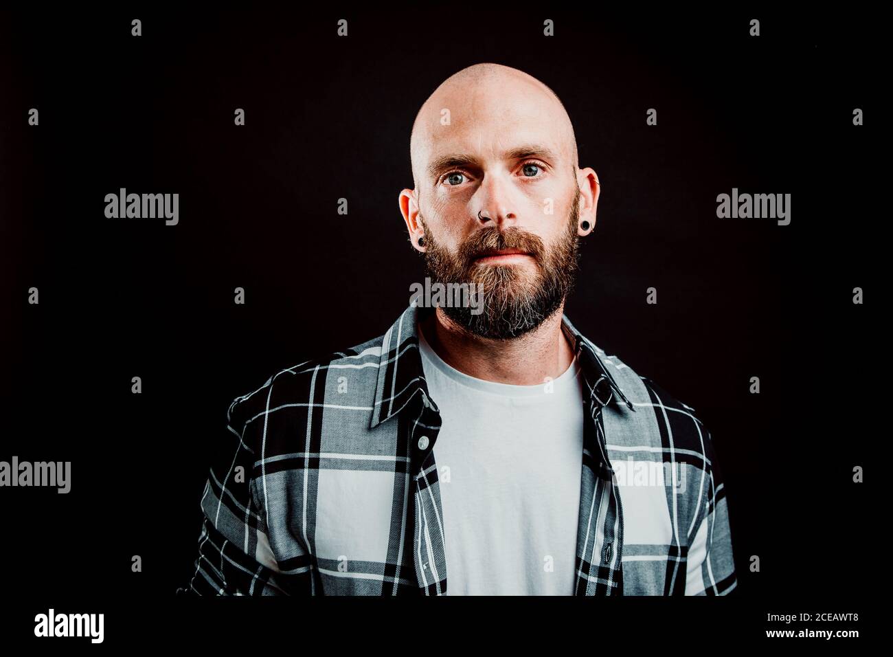Bärtige haarlose Hipster in shirt Kamera schaut auf schwarzem Hintergrund Stockfoto