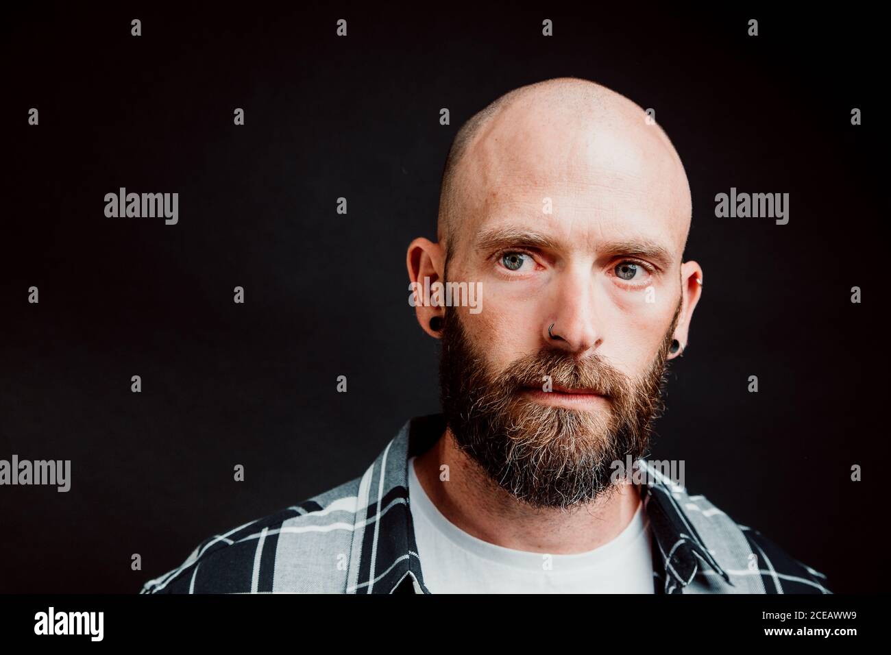 Bärtige haarlose Hipster in shirt Kamera schaut auf schwarzem Hintergrund Stockfoto