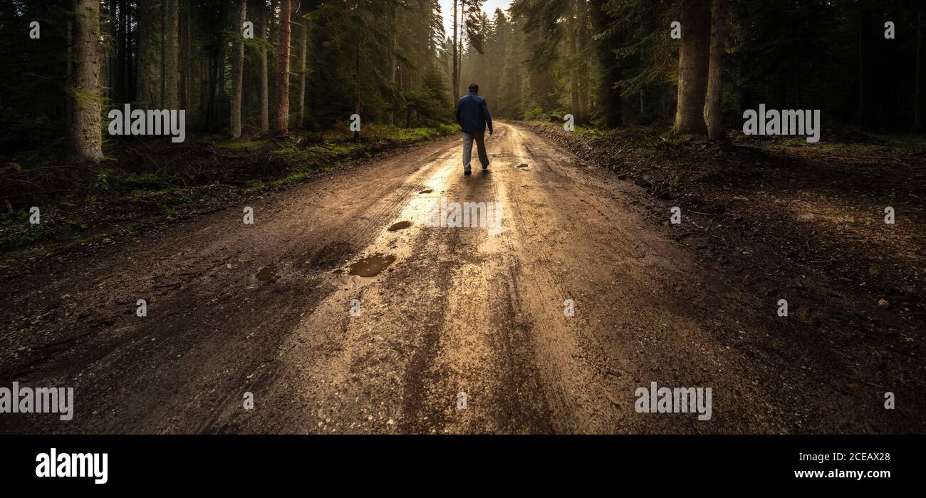 Silhouette einsamer Mann zu Fuß weg auf neblige Straße in der Wald Stockfoto