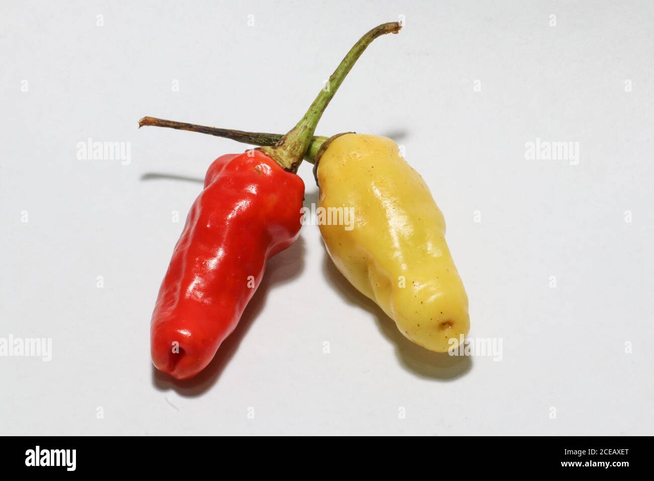 Gelbe und rote Vogelaugenchilies isoliert auf einem weißen Hintergrund Stockfoto