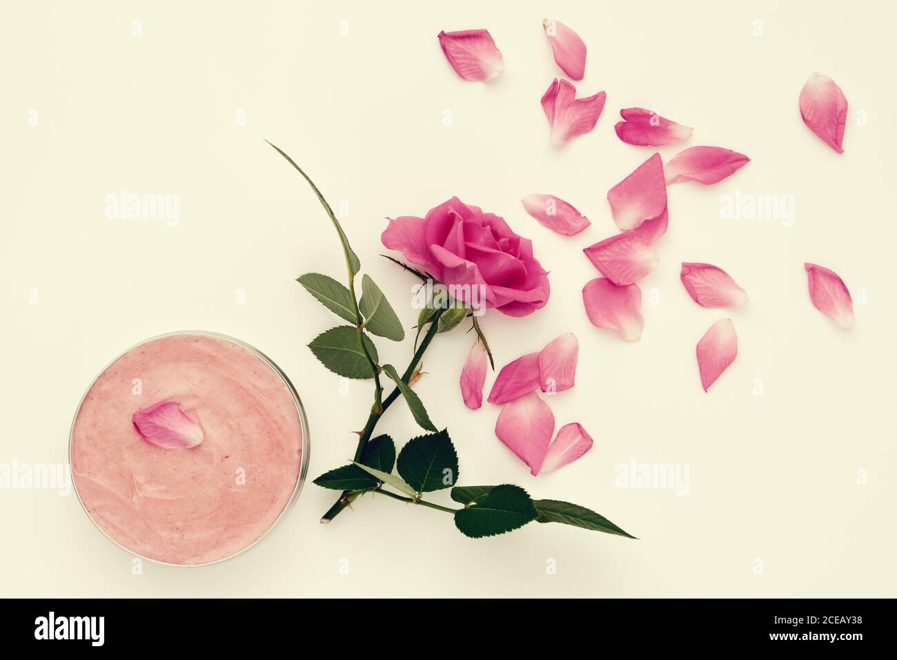 Glas mit einer hausgemachten feuchtigkeitsspendenden Beauty-Creme und rosa Rosenblüte. Draufsicht. Stockfoto