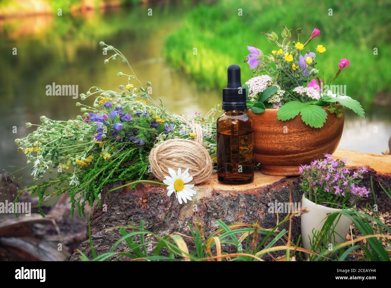 Mörser von Heilkräutern, Tropfflasche mit ätherischem Öl, Bündel von Heilpflanzen auf einem Holzstumpf am Ufer des schönen Waldflusses im Freien. Stockfoto