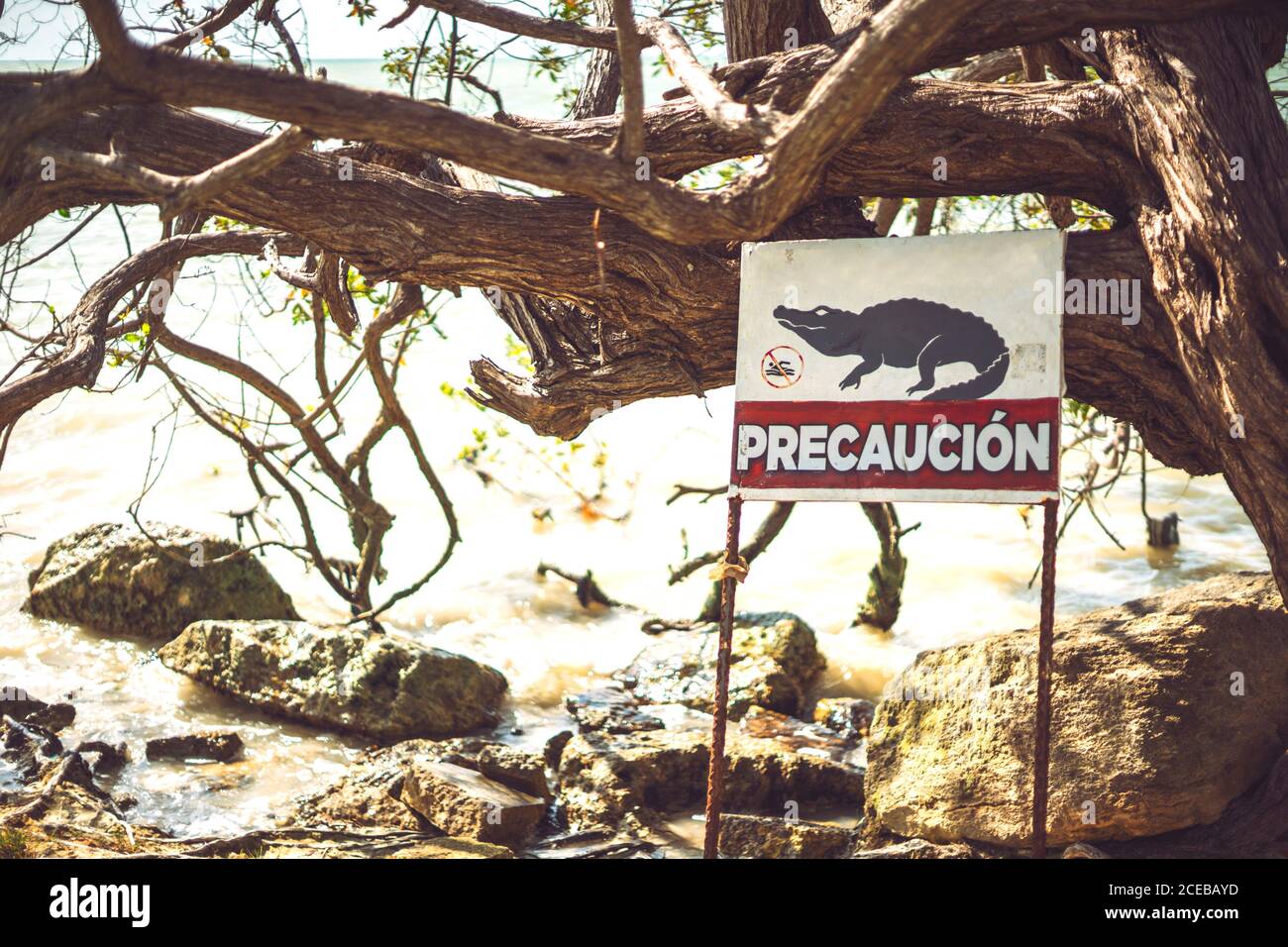 Verwittertes Krokodil Warnschild in der Nähe des tropischen Flusses in Mexiko Karibik Stockfoto