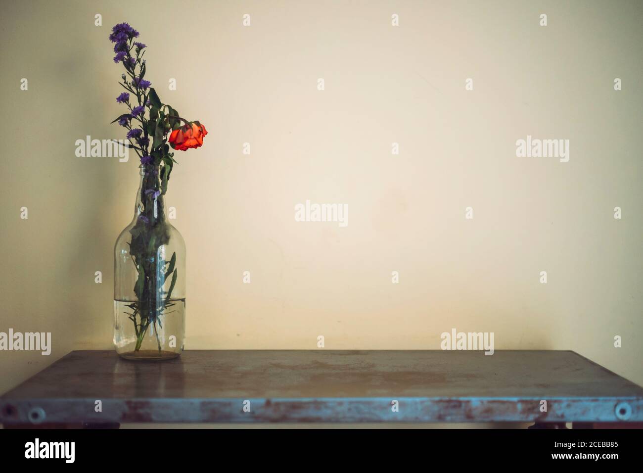 Zwei Vasen mit schönen Blumensträußen stehen auf dem Tisch in der Nähe Helle Wand Stockfoto