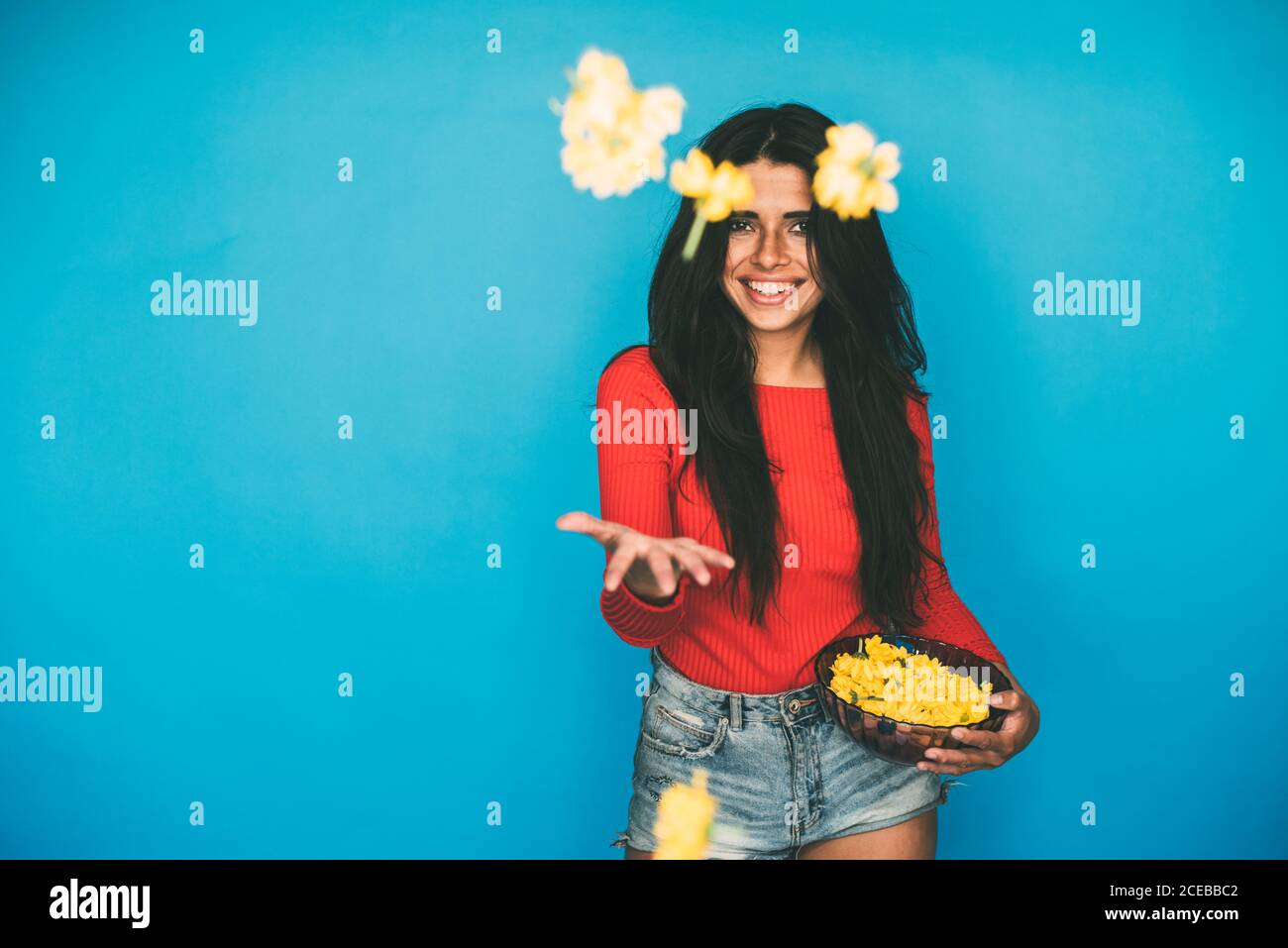 Junge attraktive Frau mit langen dunklen Haaren in roter Bluse und Denim-Shorts, die im Studio stehen und gelbe Blumen auf blauem Hintergrund in die Luft werfen Stockfoto