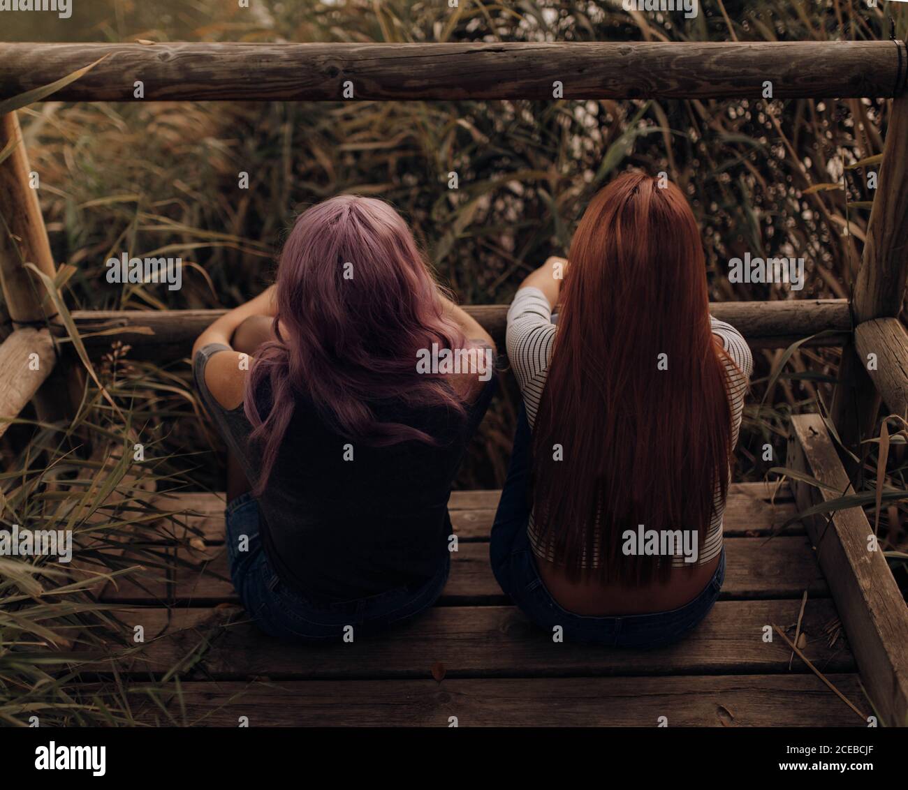 Rückansicht von zwei Frauen mit langen Haaren sitzend Hölzerner Pier in üppiger Vegetation und träumen Stockfoto