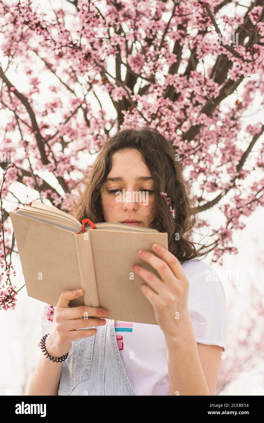 Von unten zärtliche Brünette Lesebuch gegen schöne rosa Blühender Baum im Freien Stockfoto