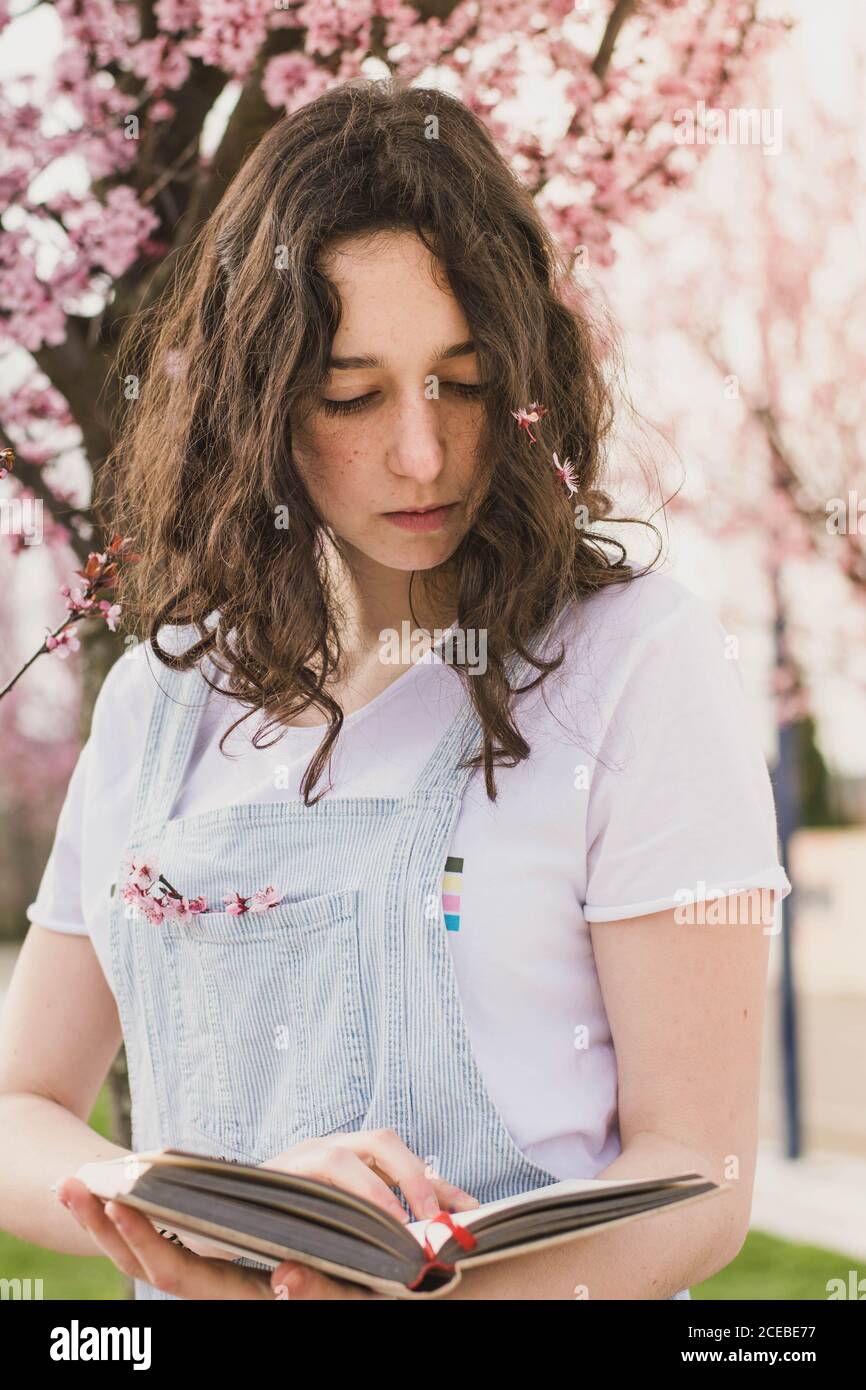 Von unten zärtliche Brünette Lesebuch gegen schöne rosa Blühender Baum im Freien Stockfoto