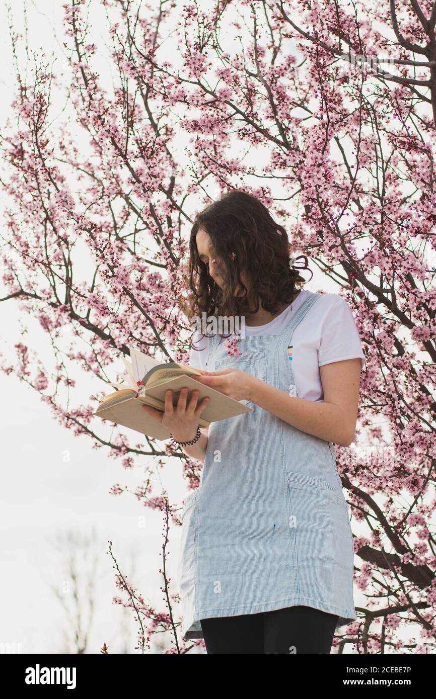 Von unten zärtliche Brünette Lesebuch gegen schöne rosa Blühender Baum im Freien Stockfoto