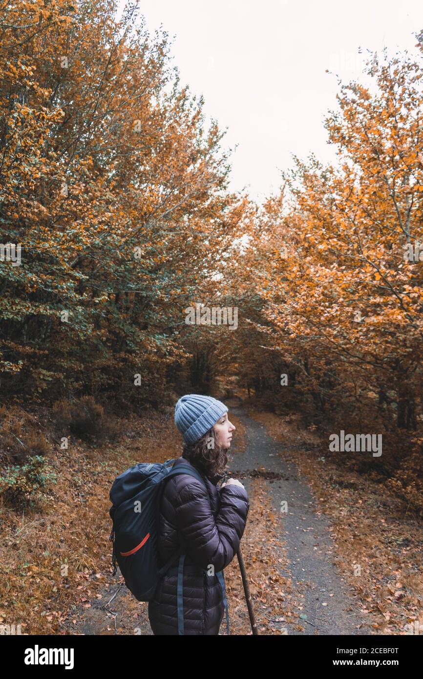 Seitenansicht einer Dame in Hut und Skijacke mit Rucksack und Spazierstock auf dem Wanderweg zwischen Herbstwald in Isoba, Kastilien und Leon, Spanien Stockfoto