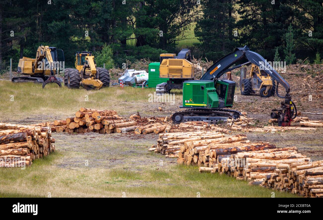 Hurunui, Canterbury, Neuseeland, Dezember 25 2019: Holzfällmaschinen zum Fräsen von Holz und zum Verladen von Holzstämmen. Stockfoto